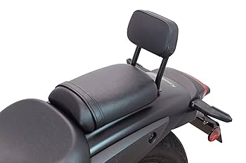SP武川 バックレストキット+サイドバッグサポート Amazon.co.jp: SP武川(TAKEGAWA) サイドバッグサポート ブラック